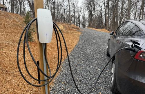 The Zenith - Foto 16