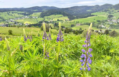 Ferienwohnung Käppeleblick - Foto 35