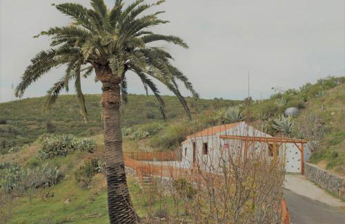 Finca Ulises Las Hayas - Foto 8