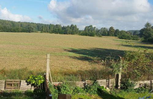 Gemuetlicher Bungalow mit Garten UND Whirlpool in Nakenstorf - Foto 46
