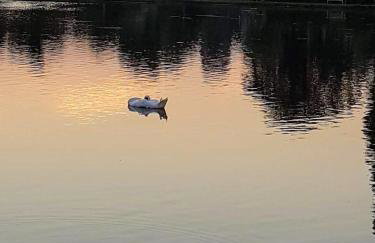Regatta - A lakeview apartment in Thorpeness - Aldeburgh Coastal Cottages - Photo 26
