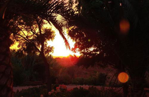 Ninho Da Poupa - Foto 65