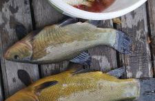 Domek letniskowy Zacisze - Foto 41