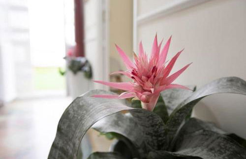 Family Century House with terrace and parking - Foto 57