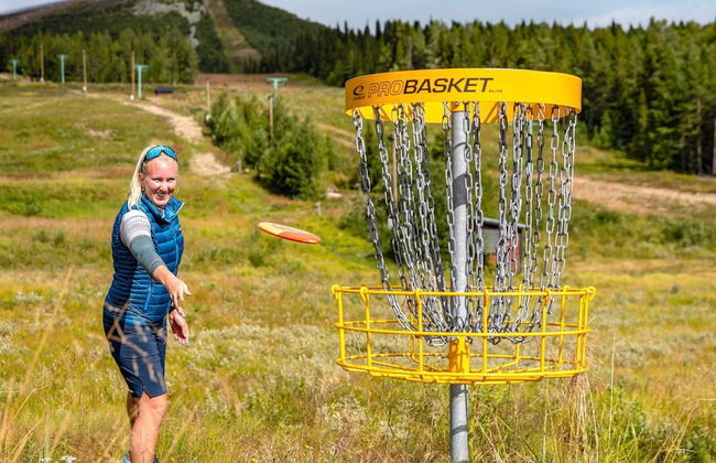 8 Person Holiday Home in Lofsdalen - Foto 11