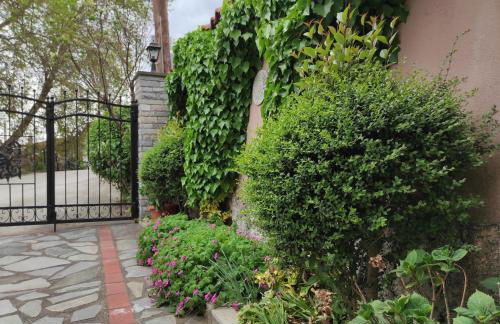 Pavillion2 - Foto 30