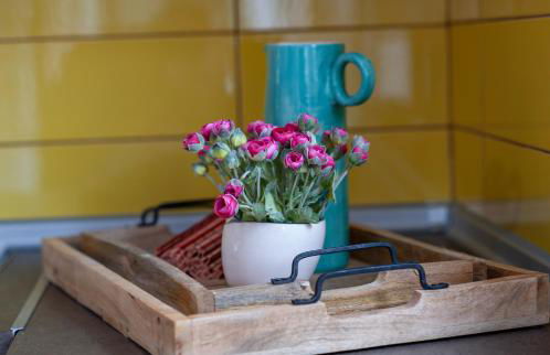 Petite Fleur - Photo 20