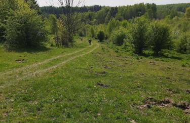 Dom na Końcu Świata w Sercu Natury - Foto 52