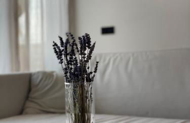 Römer Apartment und Zimmer - Foto 1