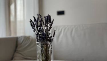 Römer Apartment und Zimmer - Foto 1