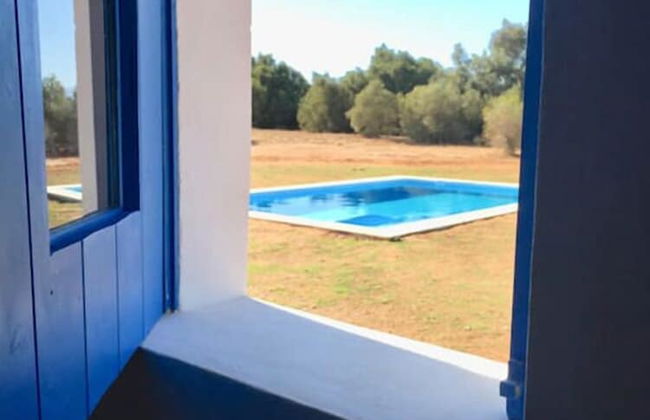 Morgado do Quintao - Foto 49