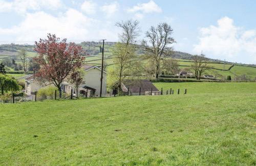 Pant Y Cwtsh - Foto 19