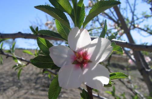 Cortijo La Estrella - Foto 39