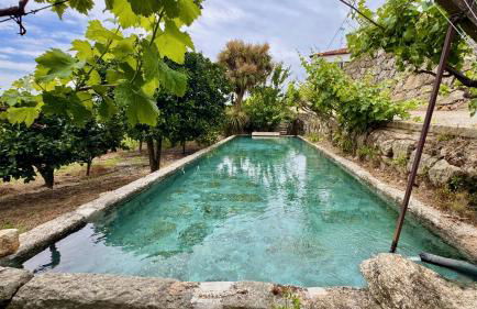 Quinta de CasalMato - Foto 16