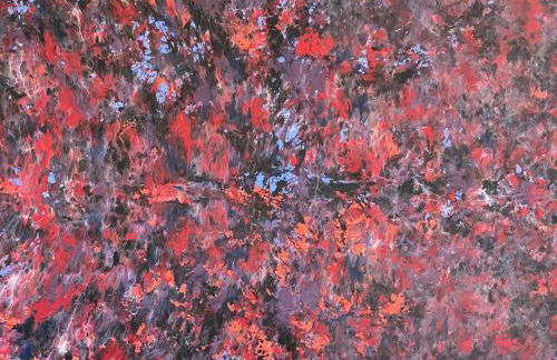 The Sanctuary at Deer Dune , Saugatuck - Foto 36