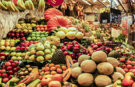 Catalunya Casas Relax and Recharge - only 34km from Barcelona! - Foto 63