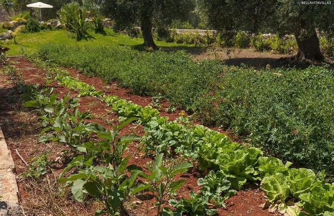280 Villa con Piscina a Casarano Gallipoli - Photo 57