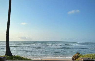 Villa PF Village - Praia do Lord - Foto 6