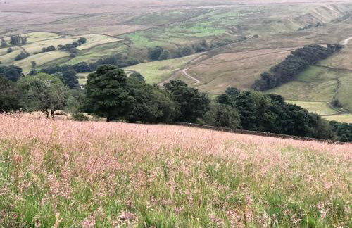 Coverdale cottage - Photo 61