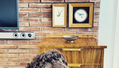 Primera linea de Playa de Martina - Foto 5