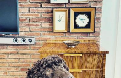 Primera linea de Playa de Martina - Foto 5