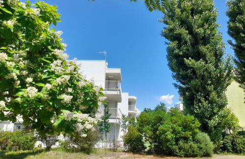 Ca' Savio terramare - Foto 22