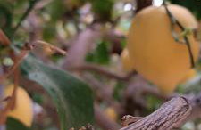 Seaside Apartment 2 - Photo 19