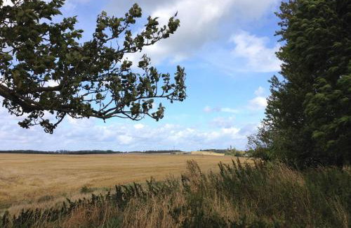 Ferienwohnung Rügen in Putgarten - Foto 11