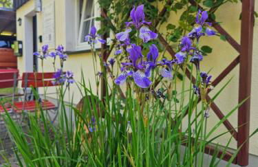 Marthas Stübchen - Foto 29