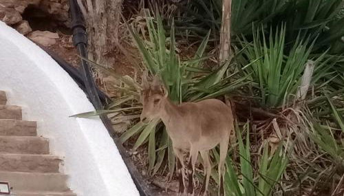 El Espejo del Mar - Foto 2