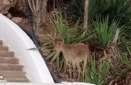 El Espejo del Mar - Foto 2