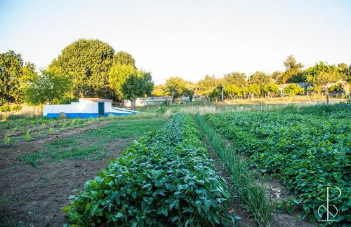 Quinta do Poço Novo - Foto 34