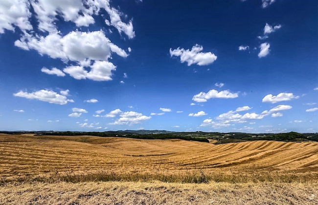 Agriturismo Poggio Bonelli - Foto 37