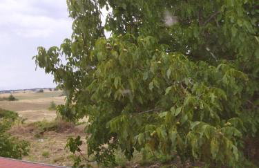 Ellie's house - Foto 35