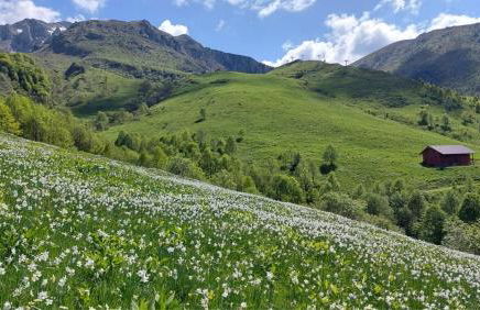 CASA VACANZA NIDO COLLETTO - Foto 24