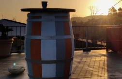 Casa Aresula - Foto 35