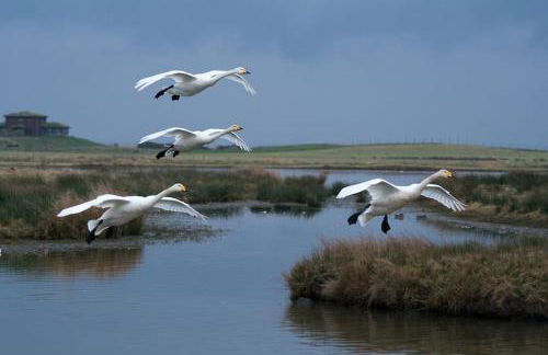 Family friendly farmhouse with games and cinema room - Foto 45