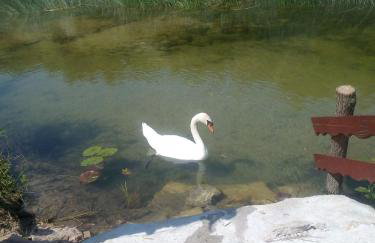 VILLA KORANA - Foto 64