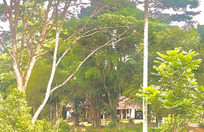 Captain's Bungalow - Foto 41