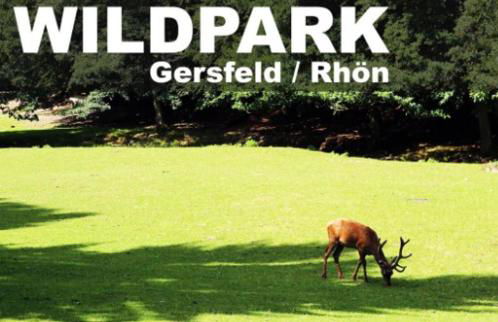 Ruhige Oase in traumhafter Lage - Foto 18