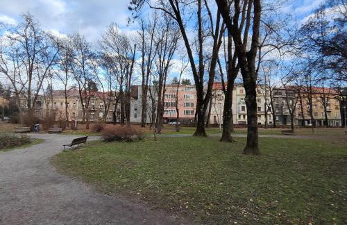 Central park Ribnjak - Photo 2