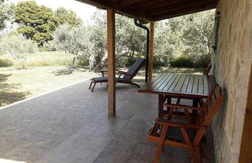 Robinson house Sea & olives - Photo 15