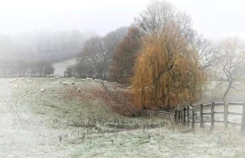 Cosy Parbold Apartment Steps form train station - Foto 30