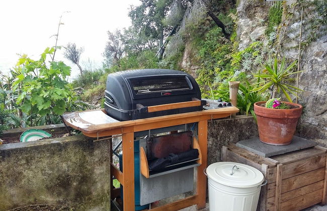 Star Fish House - Foto 19