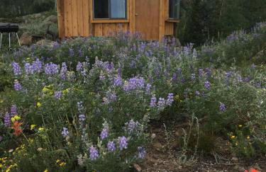 Red-tail Roundhouse at 22 West Cabins and Recreation - Foto 45