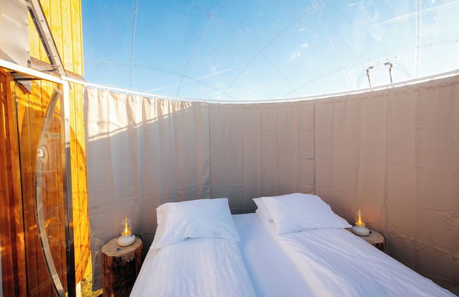 Aurora Igloo South - Foto 11