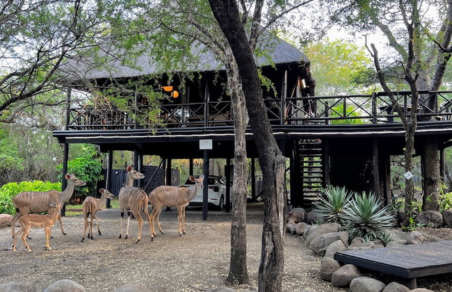 Kruger Kumba - Lahlekile Nathi - Foto 42