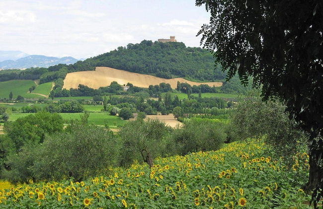 Casa by Sea in a Quiet Cove - Photo 12