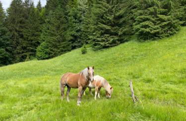 Gîtes Sous Les Loges - Mountain Apartments Lélex - Foto 50