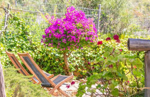 Sunny Bird House Bolonia - Foto 29